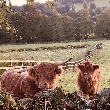 Nidd House Farm Harrogate